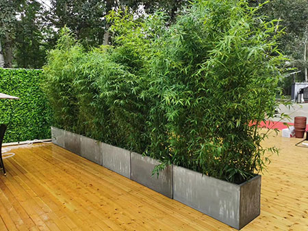 北京绿植墙提供北京绿植租摆、北京花卉租赁、北京花卉租摆