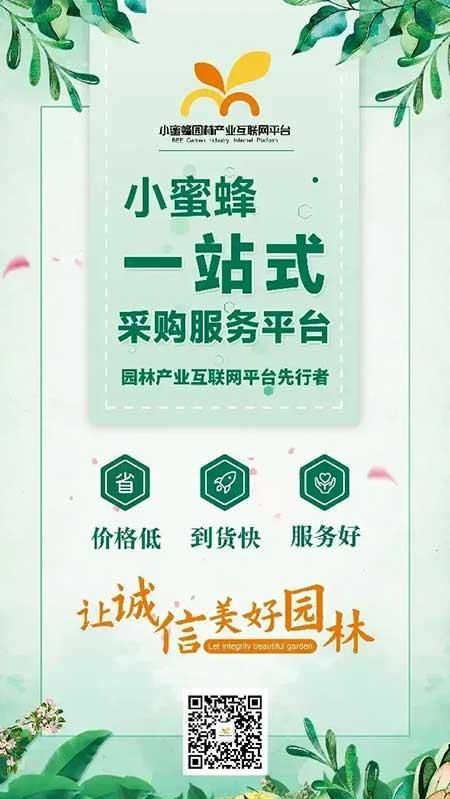 园林绿化养护报价表