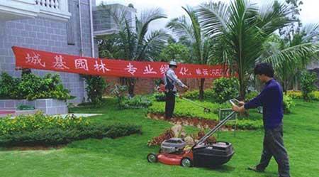 绿化养护项目