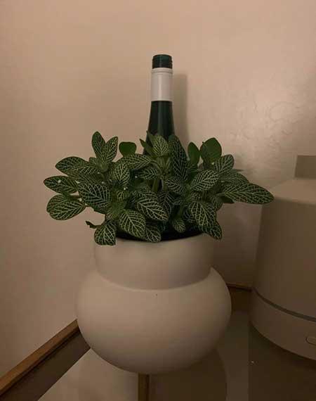 怎样养好盆栽花