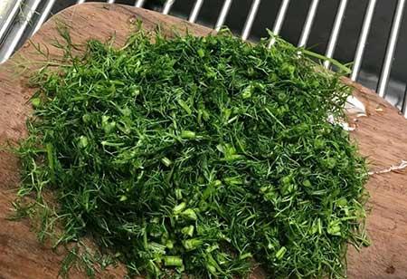 阳台适合养的绿植