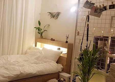 适合卧室阳台养的花