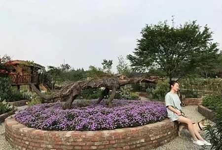 绿植养护员