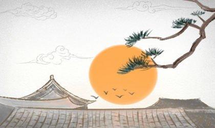 家里养多少绿植合适