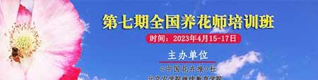 花卉租赁价格表