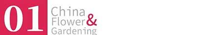 花卉租赁价格表