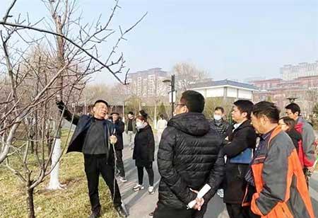 公园绿地养护