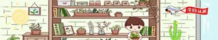 常青藤花怎么养殖方法