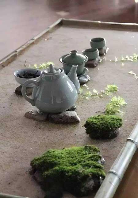 茶桌养什么绿植
