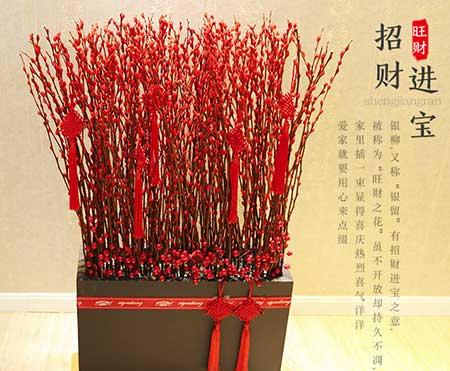 属性养什么花