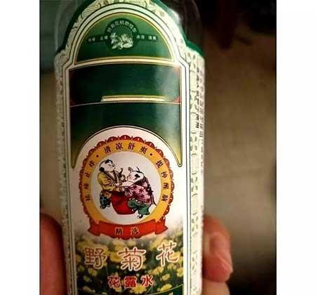 驱蚊绿植怎么养