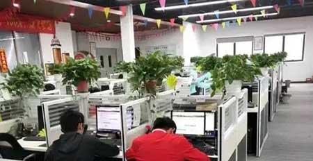 绿植租摆承接