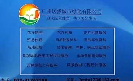绿植租摆承接