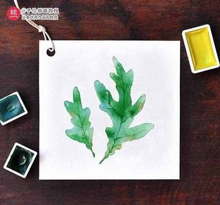 绿植养护卡片制作