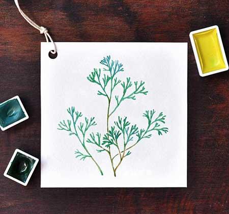 绿植养护卡片制作