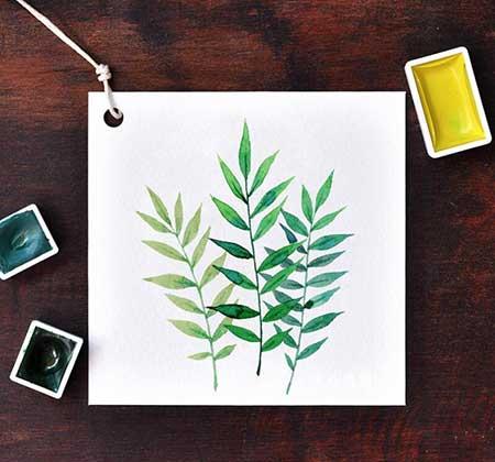 绿植养护卡片制作