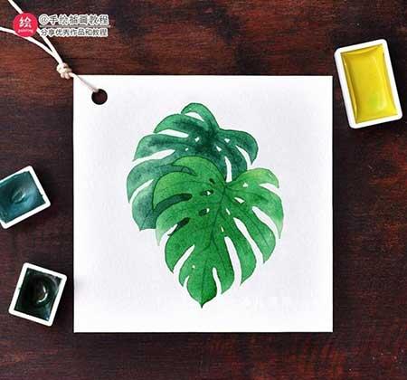 绿植养护卡片制作