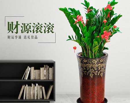 花木养护公司