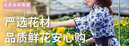 花卉供应商