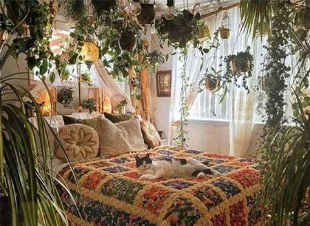 卧室适合养绿植吗