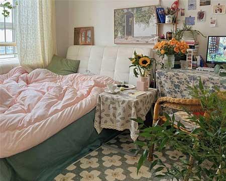 卧室适合养绿植吗