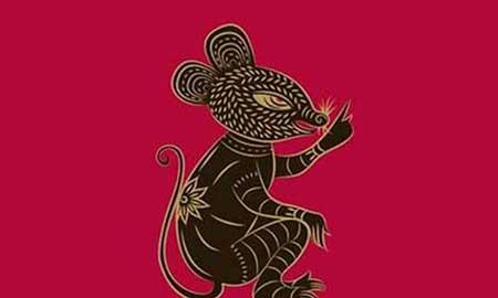 属鼠适合养什么绿植