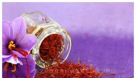 女生养什么花