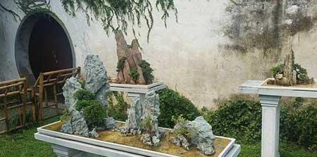 苗木养护费用