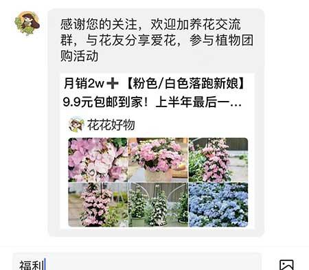 绿植养护系统