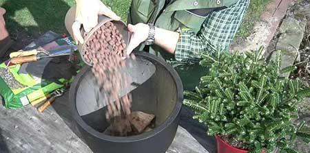 绿植养护过程