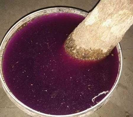 水培鲜花怎么养