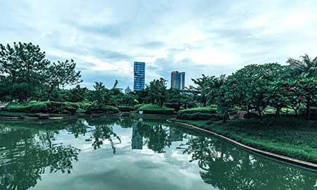 绿植养护报价单