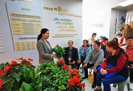 绿植上门养护