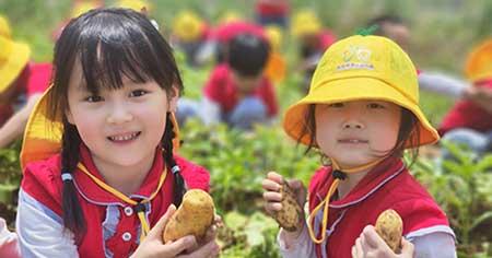 养护绿植的劳动感受