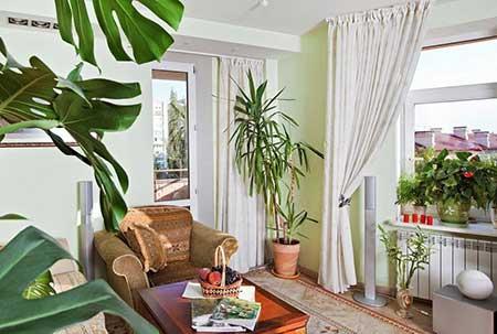 室内盆栽如何养护