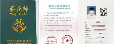 室内花卉租摆公司