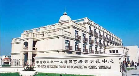 室内花卉租摆公司