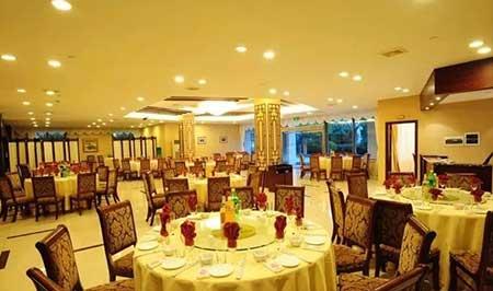 室内花卉租摆公司