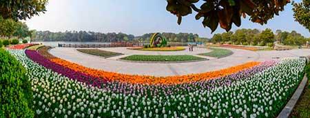 室内花卉租摆公司