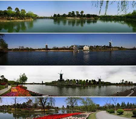 室内花卉租摆公司