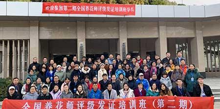 室内花卉租摆公司