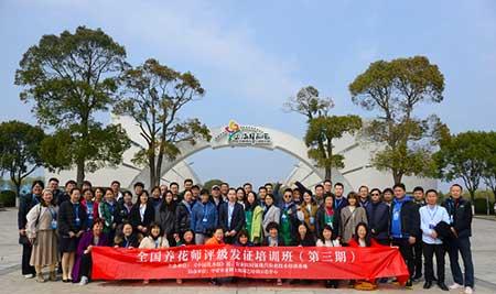 室内花卉租摆公司