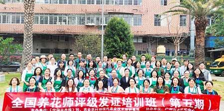 室内花卉租摆公司