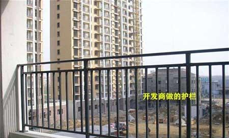 适合户外阳台养的绿植