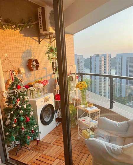 适合户外阳台养的绿植