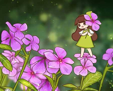 盆栽花卉怎么养