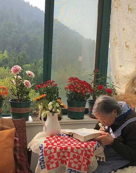 奶奶养的花