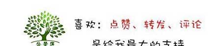 玛瑙盆栽怎么养
