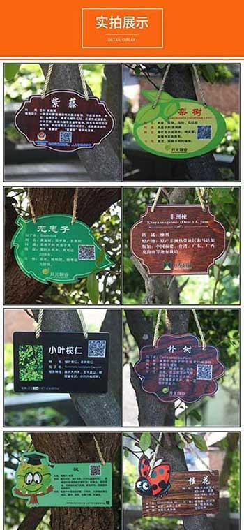 绿植养护牌图片