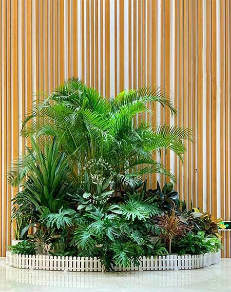 绿植花卉租赁价格